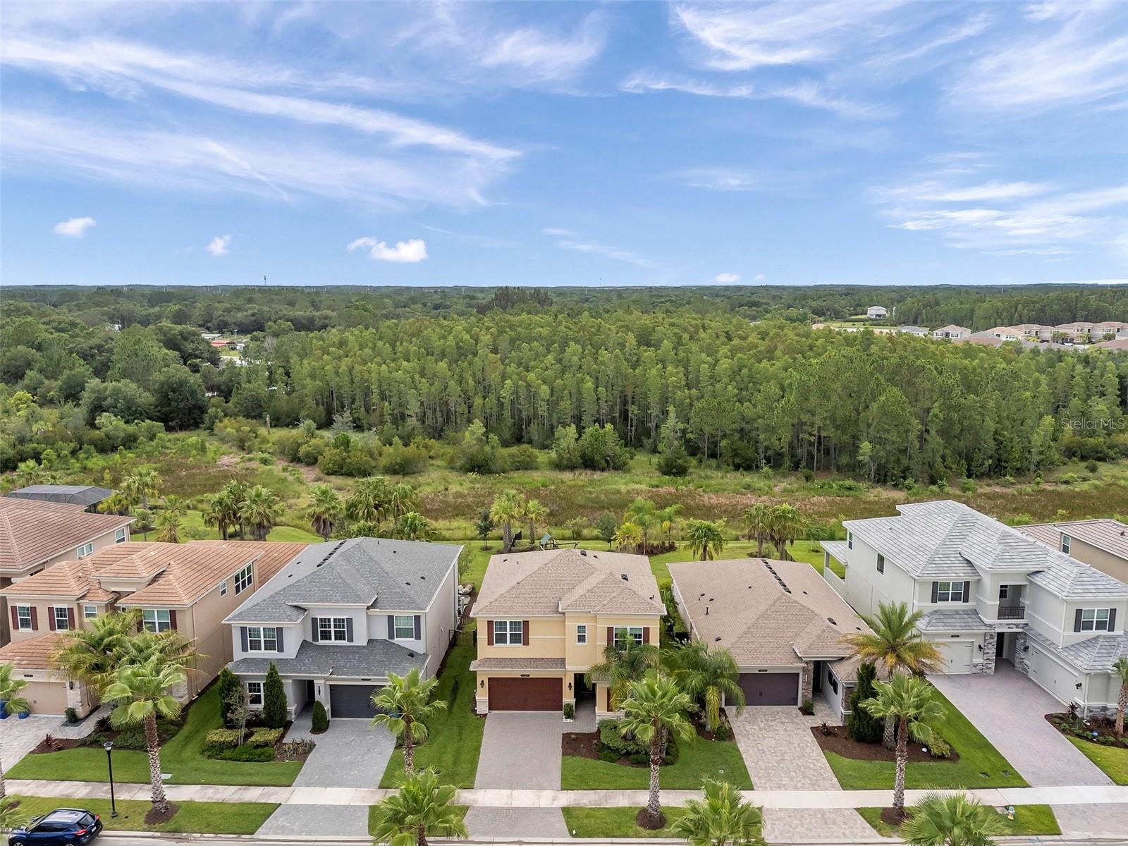 32203 MAHOGANY VALLEY DR, WESLEY CHAPEL, FL, 33543