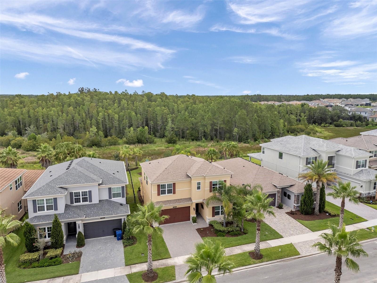 32203 MAHOGANY VALLEY DR, WESLEY CHAPEL, FL, 33543