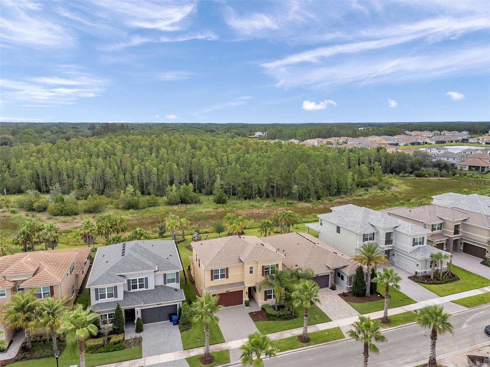 32203 MAHOGANY VALLEY DR, WESLEY CHAPEL, FL, 33543