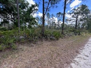 622 LAGUNA DR, INDIAN LAKE ESTATES, FL, 33855