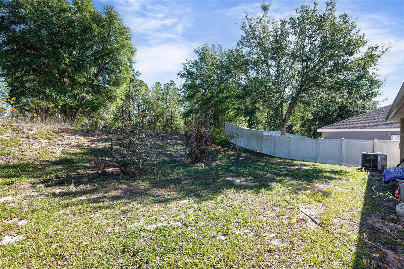 31045 SATINLEAF RUN, BROOKSVILLE, FL, 34602