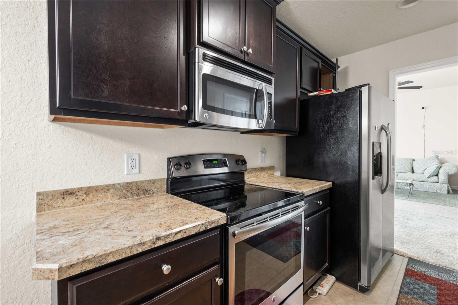 31045 SATINLEAF RUN, BROOKSVILLE, FL, 34602