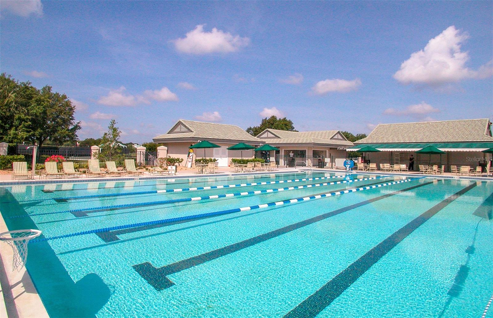 3295 ALEX FINDLAY PL, SARASOTA, FL, 34240