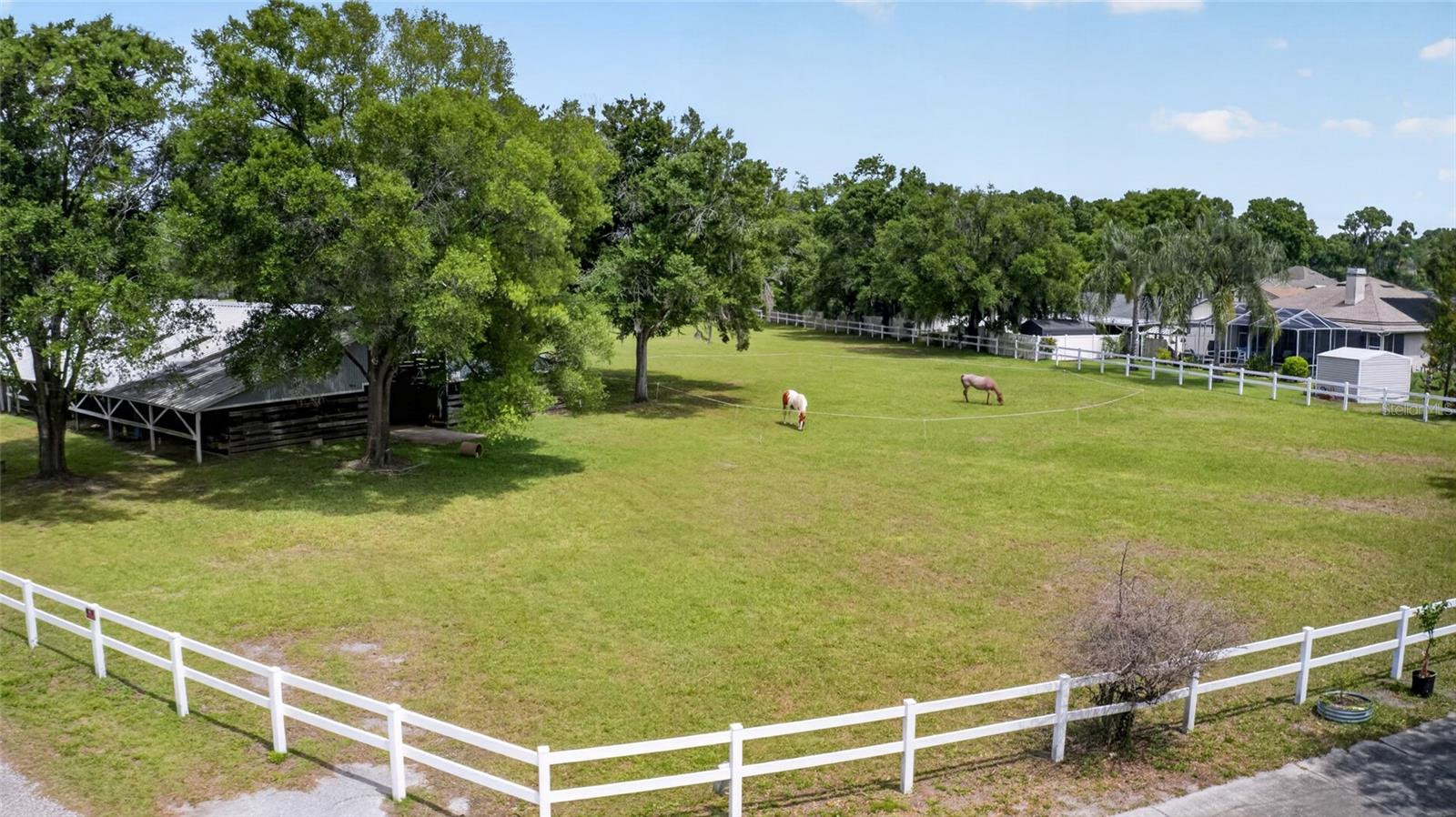 3026 LAKE PADGETT DR, LAND O LAKES, FL, 34639