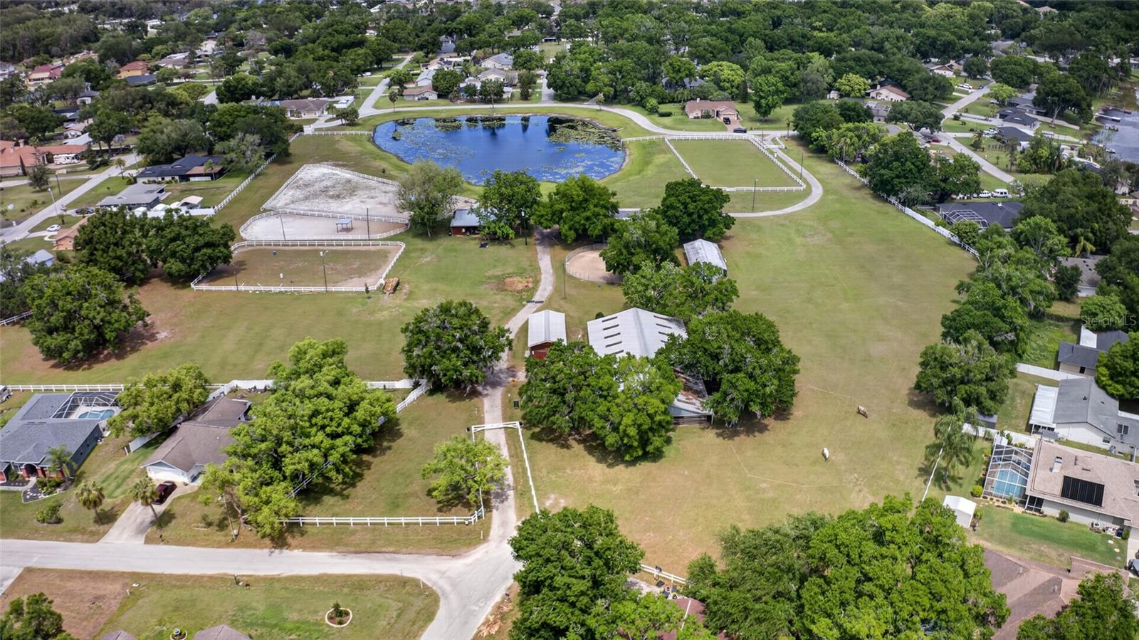 3026 LAKE PADGETT DR, LAND O LAKES, FL, 34639