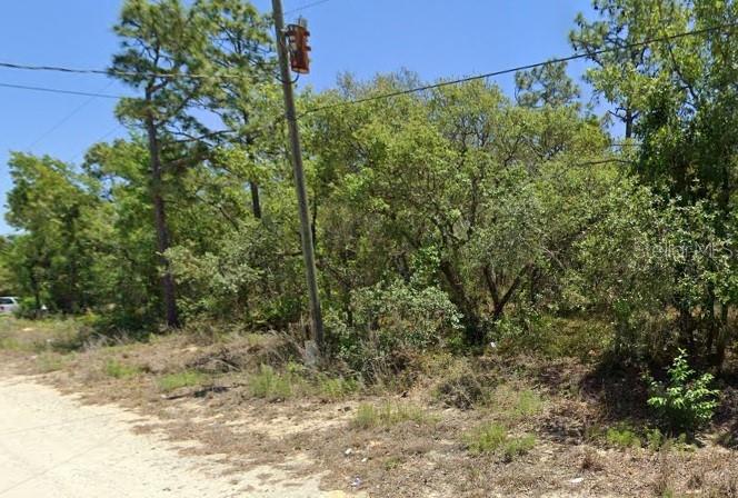 5276 W WINTER SUN LN, HOMOSASSA, FL, 34446