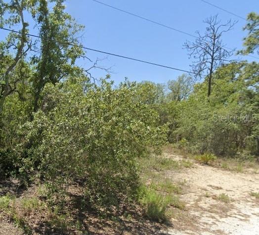 5276 W WINTER SUN LN, HOMOSASSA, FL, 34446