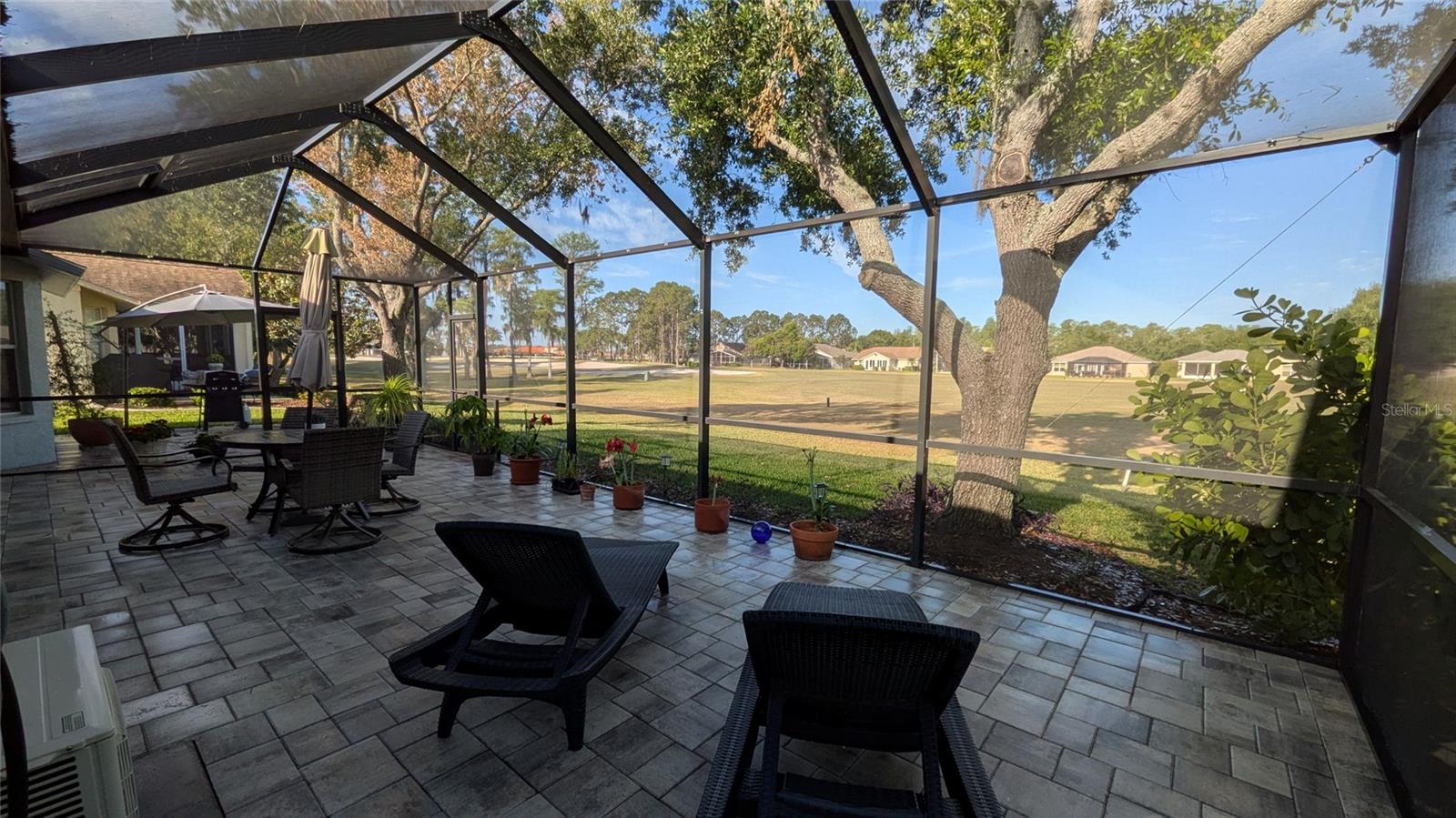 1429 CANBERLEY CT, TRINITY, FL, 34655