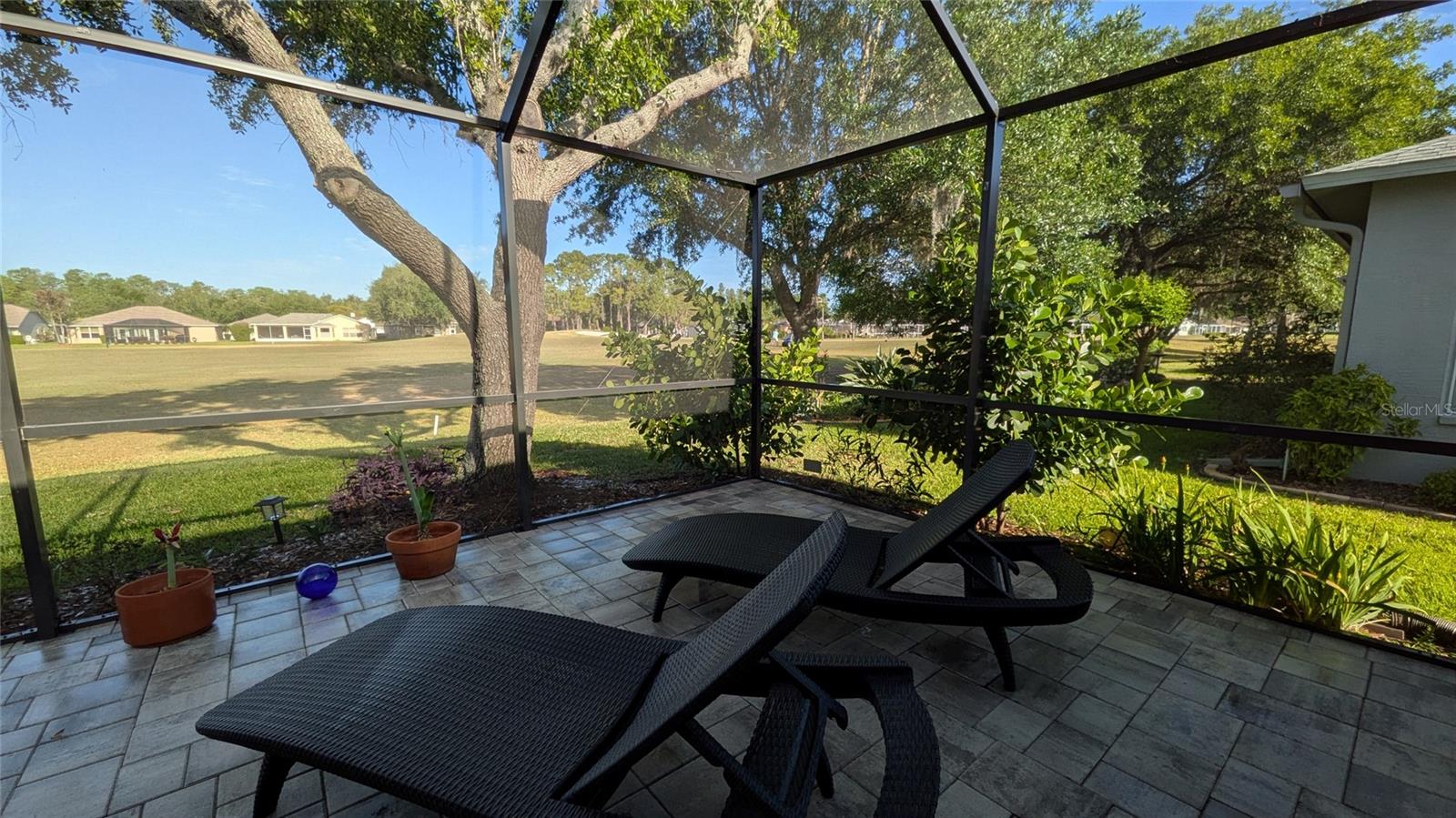 1429 CANBERLEY CT, TRINITY, FL, 34655