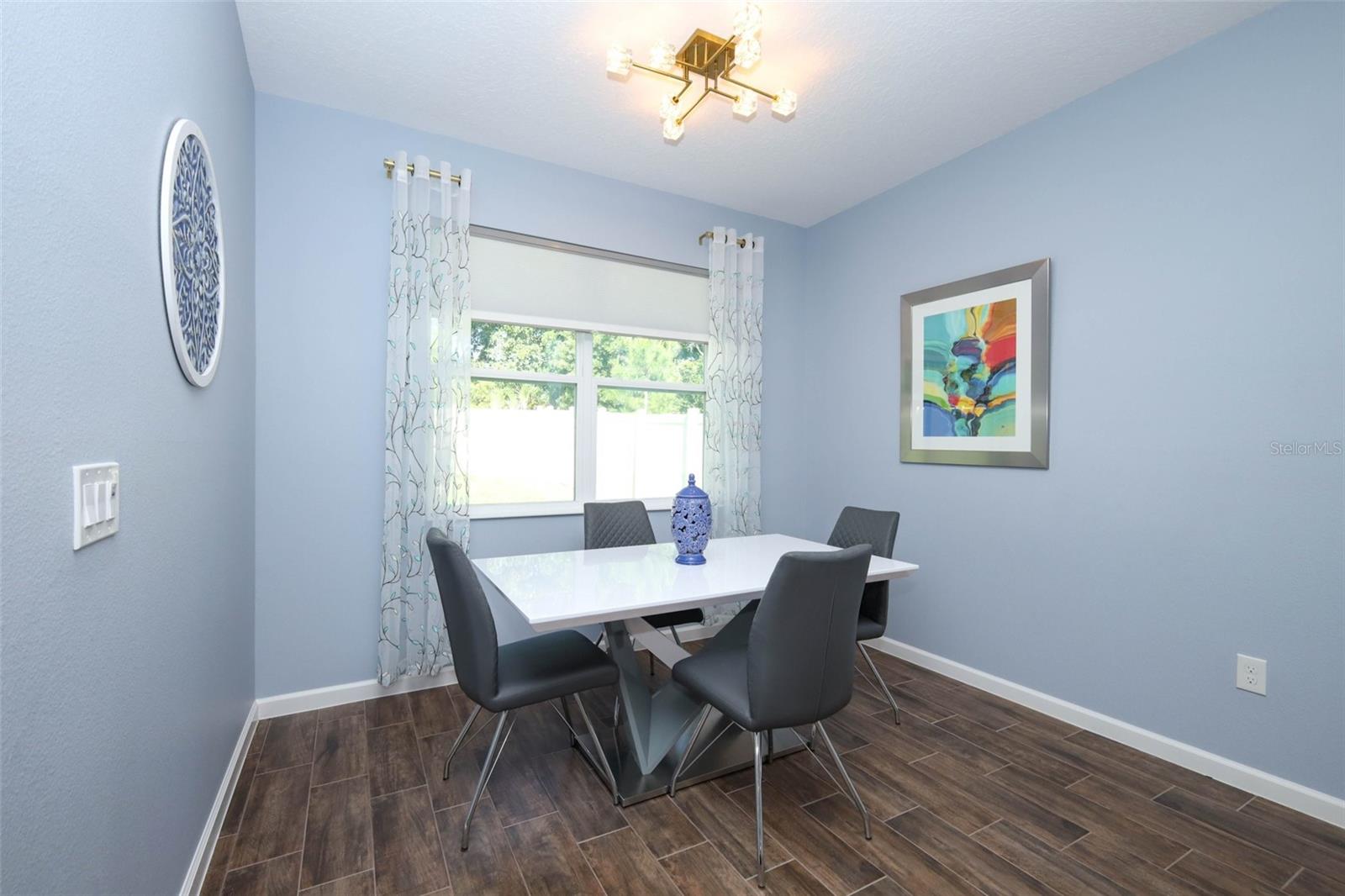 2289 SIRENA LN, MOUNT DORA, FL, 32757