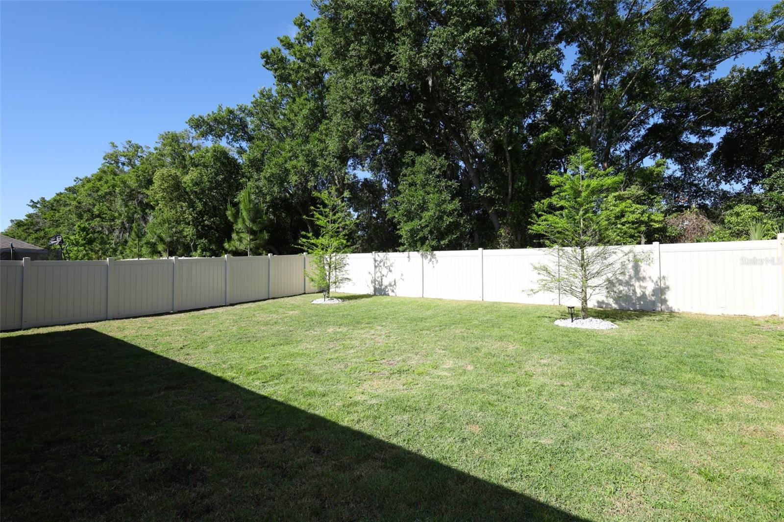 2289 SIRENA LN, MOUNT DORA, FL, 32757