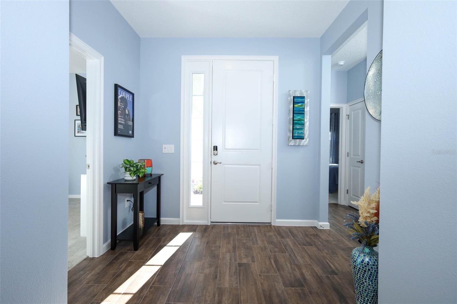 2289 SIRENA LN, MOUNT DORA, FL, 32757