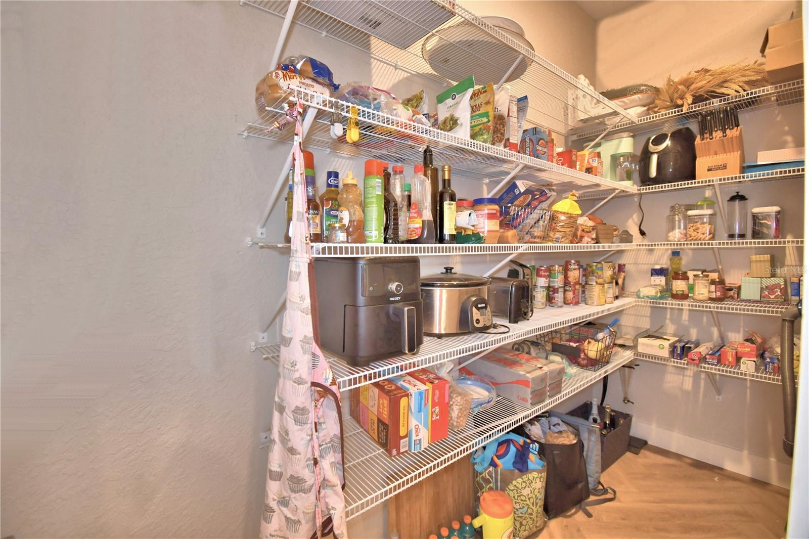 203 SPRING AZURE DR, LAKE ALFRED, FL, 33850