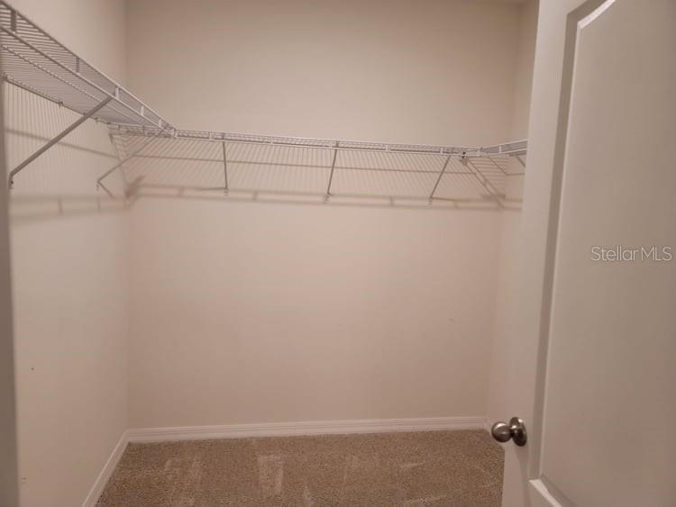 376 TANGLEWOOD DR, DAVENPORT, FL, 33896