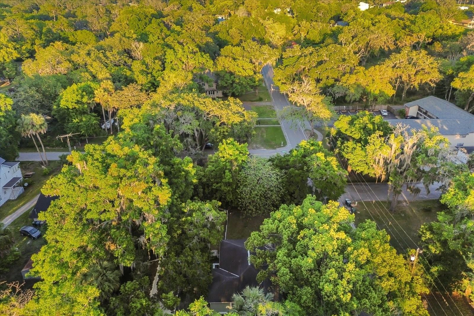 829 NE 3RD ST, OCALA, FL, 34470