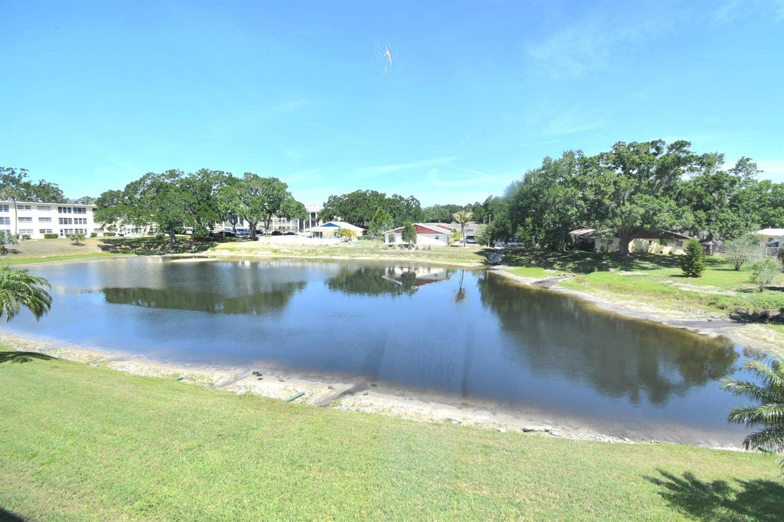 936 VIRGINIA ST #206, DUNEDIN, FL, 34698