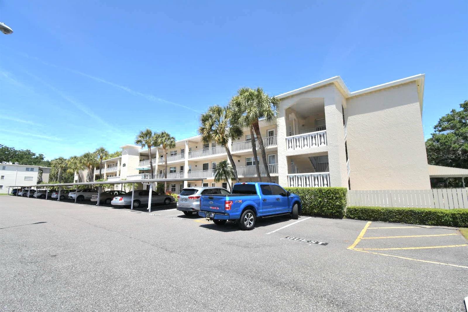 936 VIRGINIA ST #206, DUNEDIN, FL, 34698