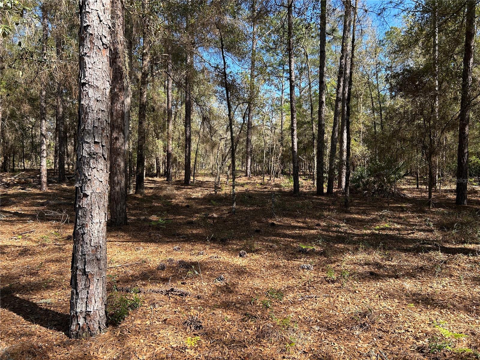 Lot 23 SW 181ST CIR, DUNNELLON, FL, 34432