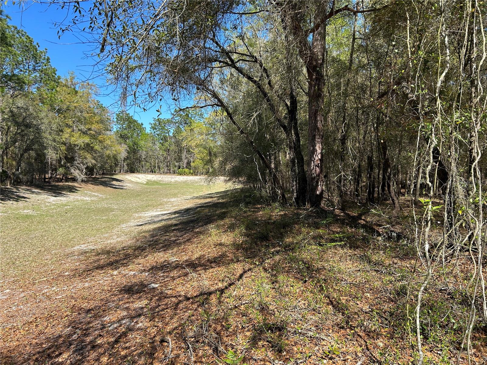 Lot 23 SW 181ST CIR, DUNNELLON, FL, 34432