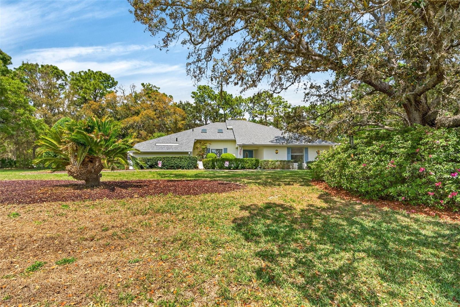 3783 W BIRDS NEST DR, BEVERLY HILLS, FL, 34465