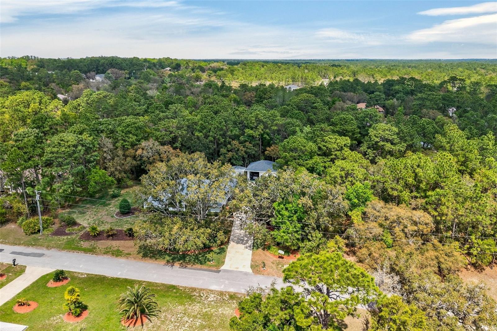 3783 W BIRDS NEST DR, BEVERLY HILLS, FL, 34465