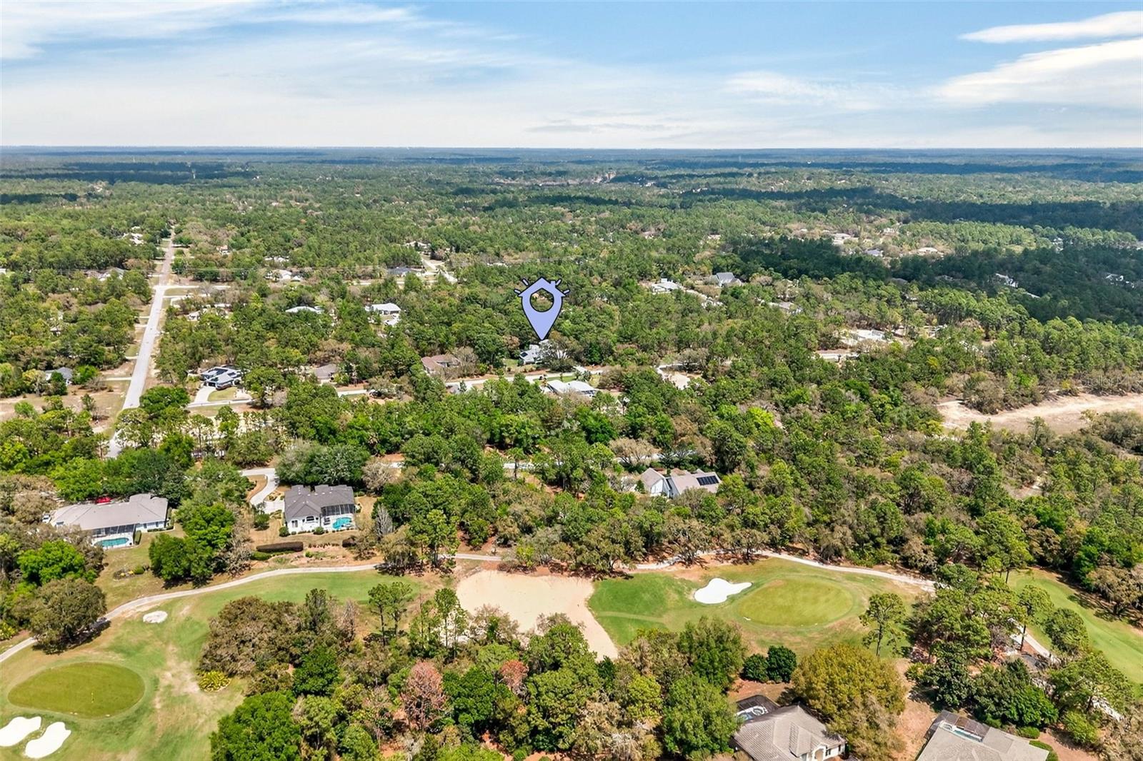 3783 W BIRDS NEST DR, BEVERLY HILLS, FL, 34465