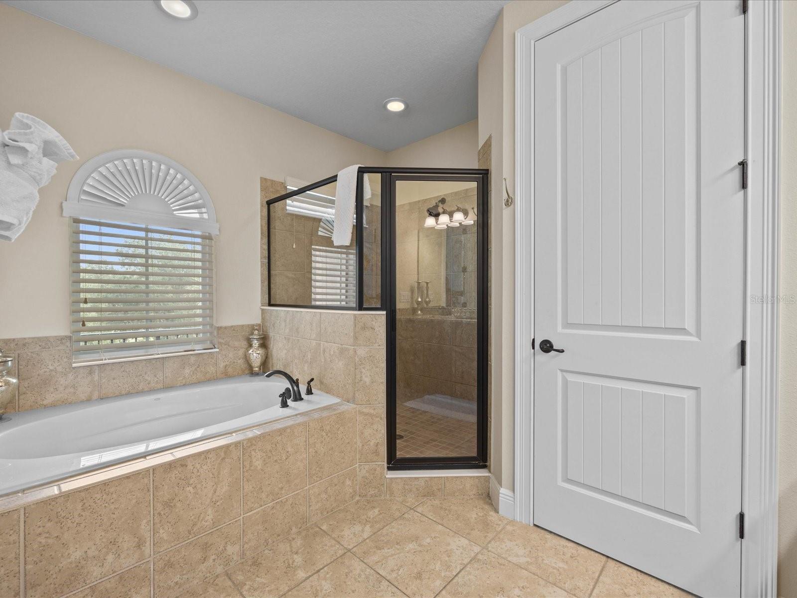 761 DESERT MOUNTAIN CT, KISSIMMEE, FL, 34747