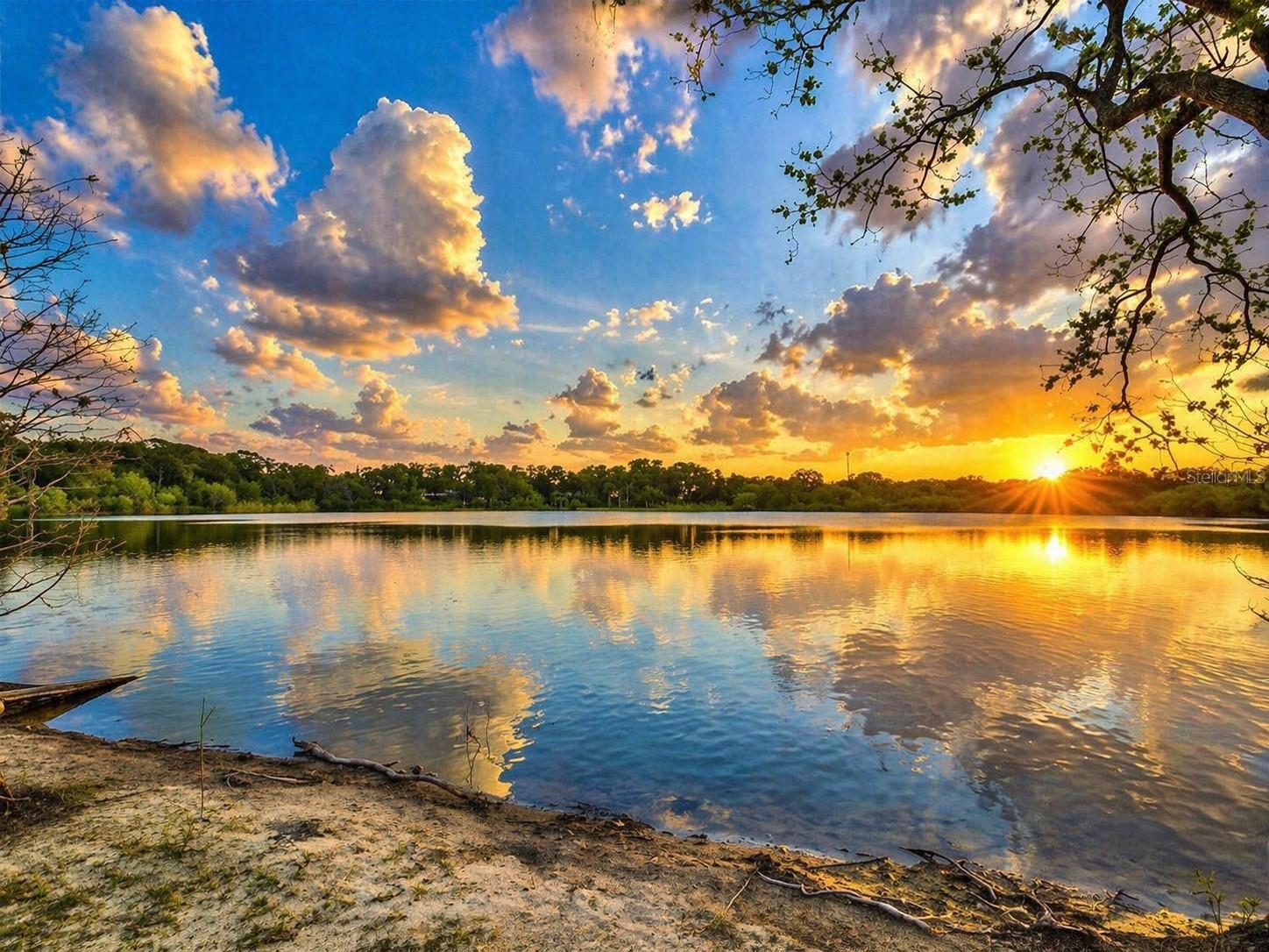 2460 LAKE WOODBERRY CIR, BRANDON, FL, 33510