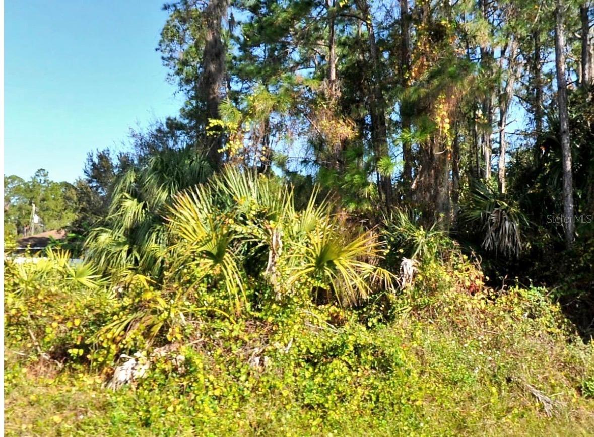 ZAMBRANA AVE, NORTH PORT, FL, 34286