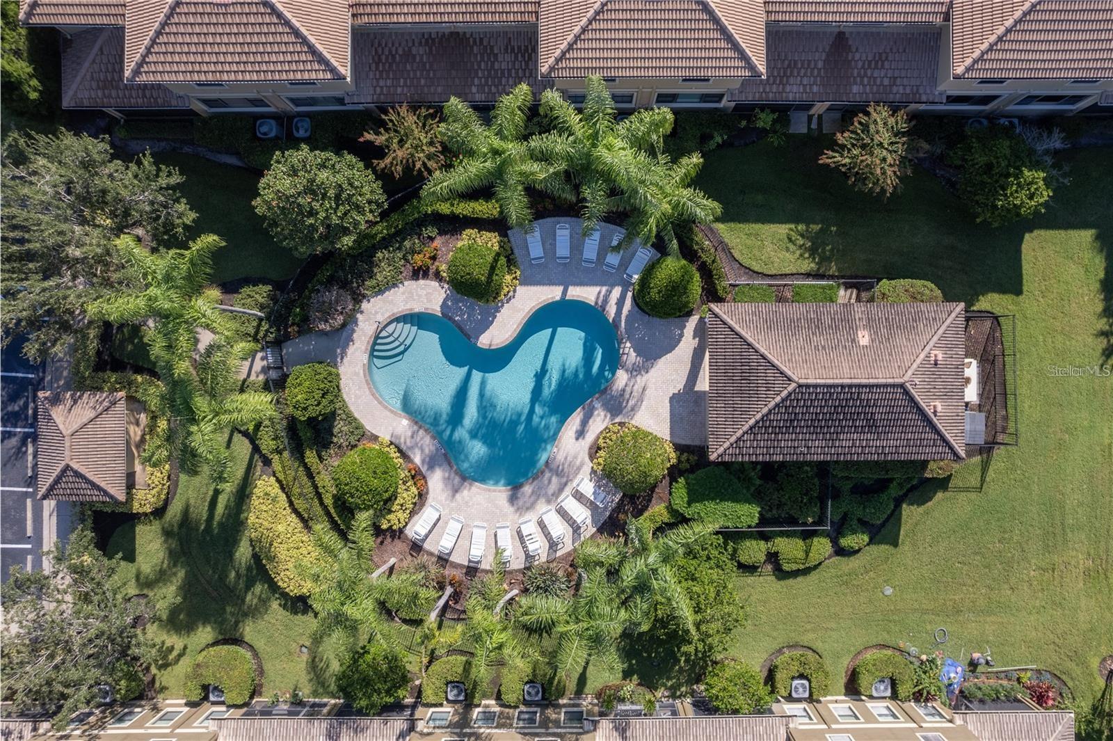 2527 SILVERBACK CT, PALM HARBOR, FL, 34684