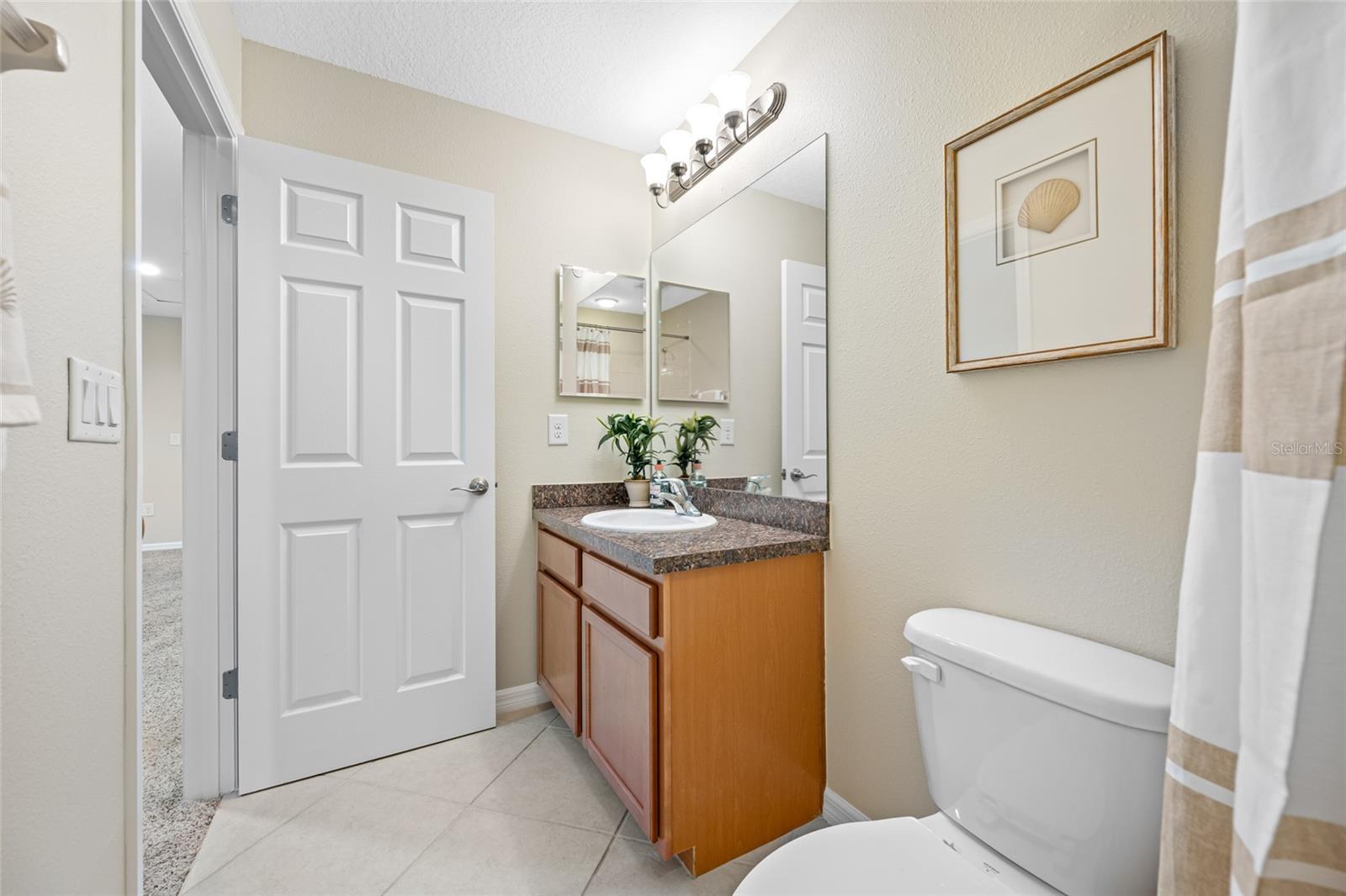 2527 SILVERBACK CT, PALM HARBOR, FL, 34684