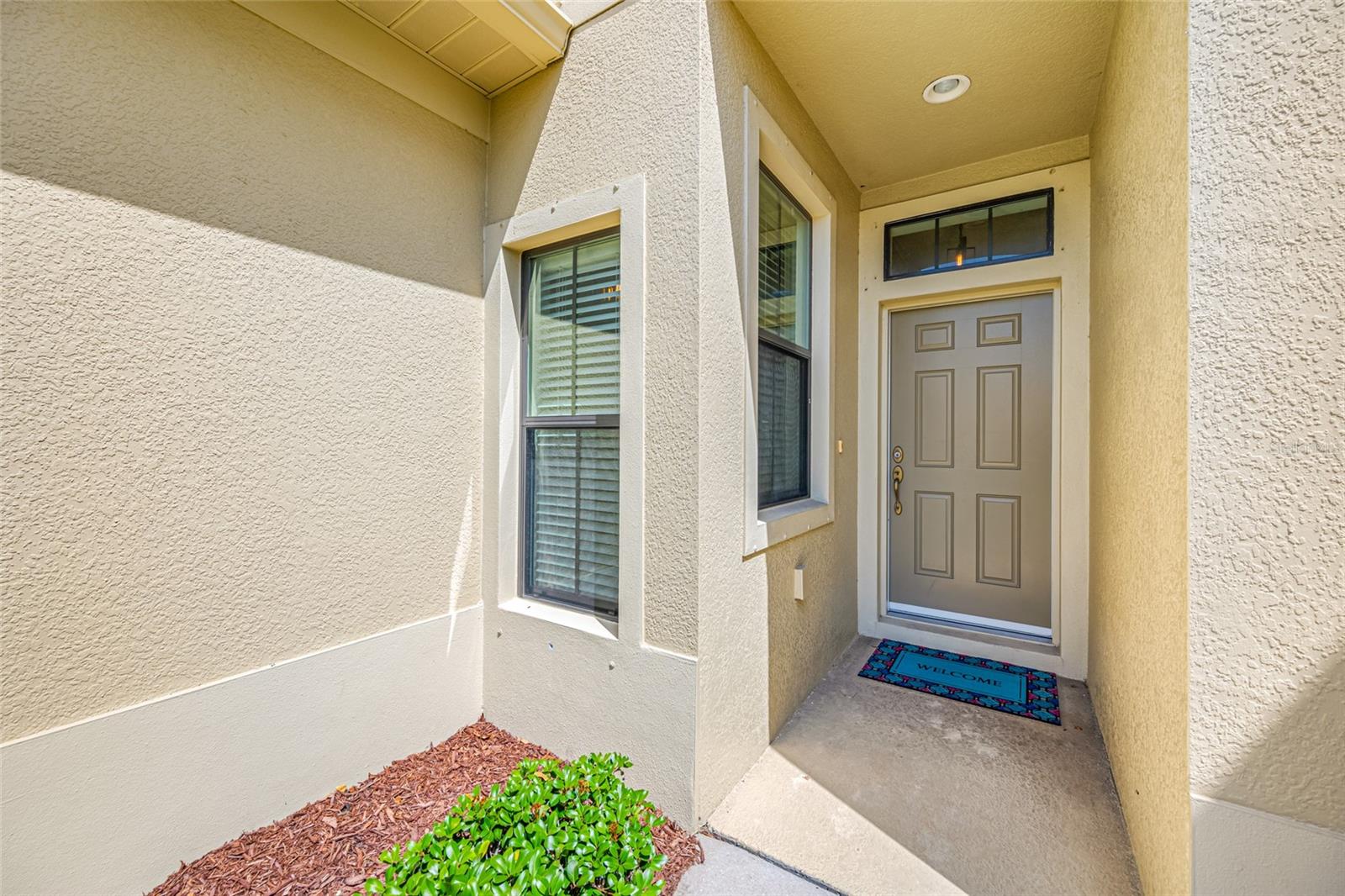 2527 SILVERBACK CT, PALM HARBOR, FL, 34684