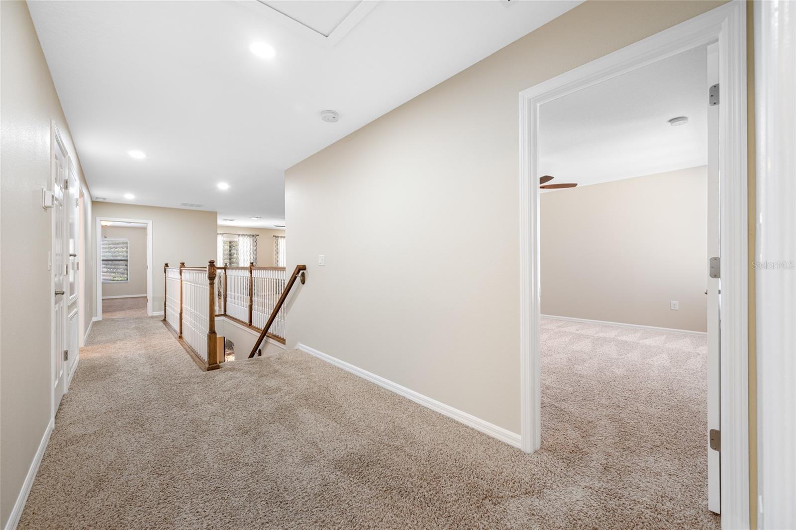 2527 SILVERBACK CT, PALM HARBOR, FL, 34684