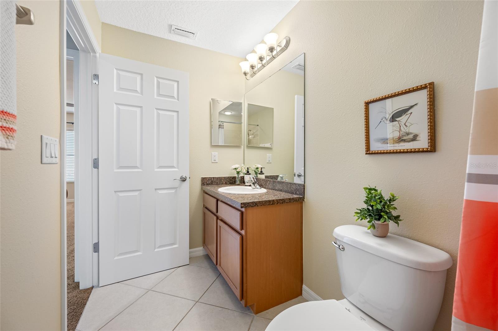 2527 SILVERBACK CT, PALM HARBOR, FL, 34684