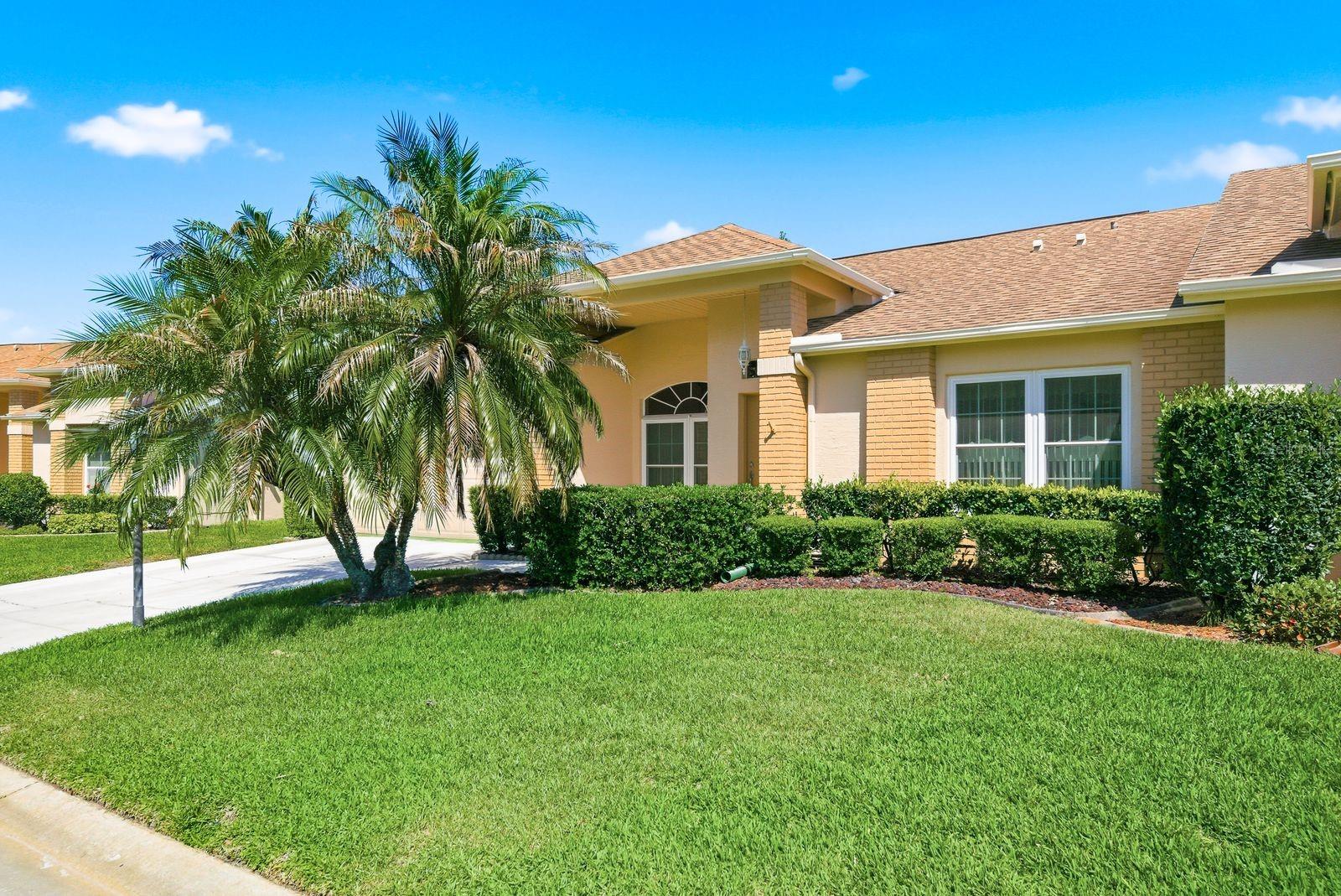 6542 PINE WALK DR, NEW PORT RICHEY, FL, 34655