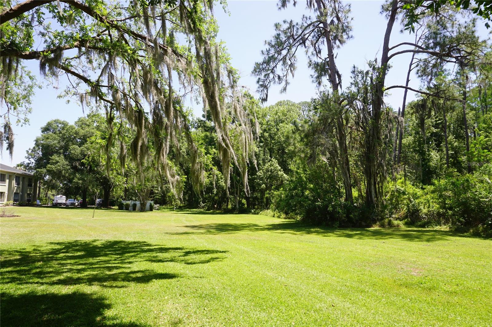 1775 CUPECOY CIR #O6, LUTZ, FL, 33558