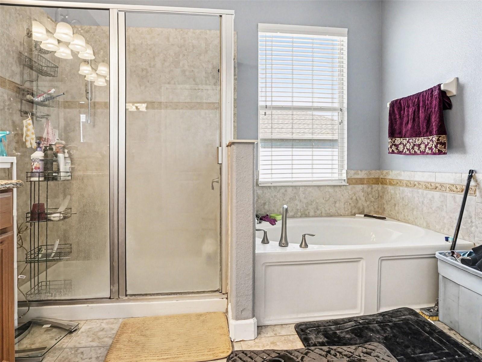 1042 HARMONY LN, CLERMONT, FL, 34711