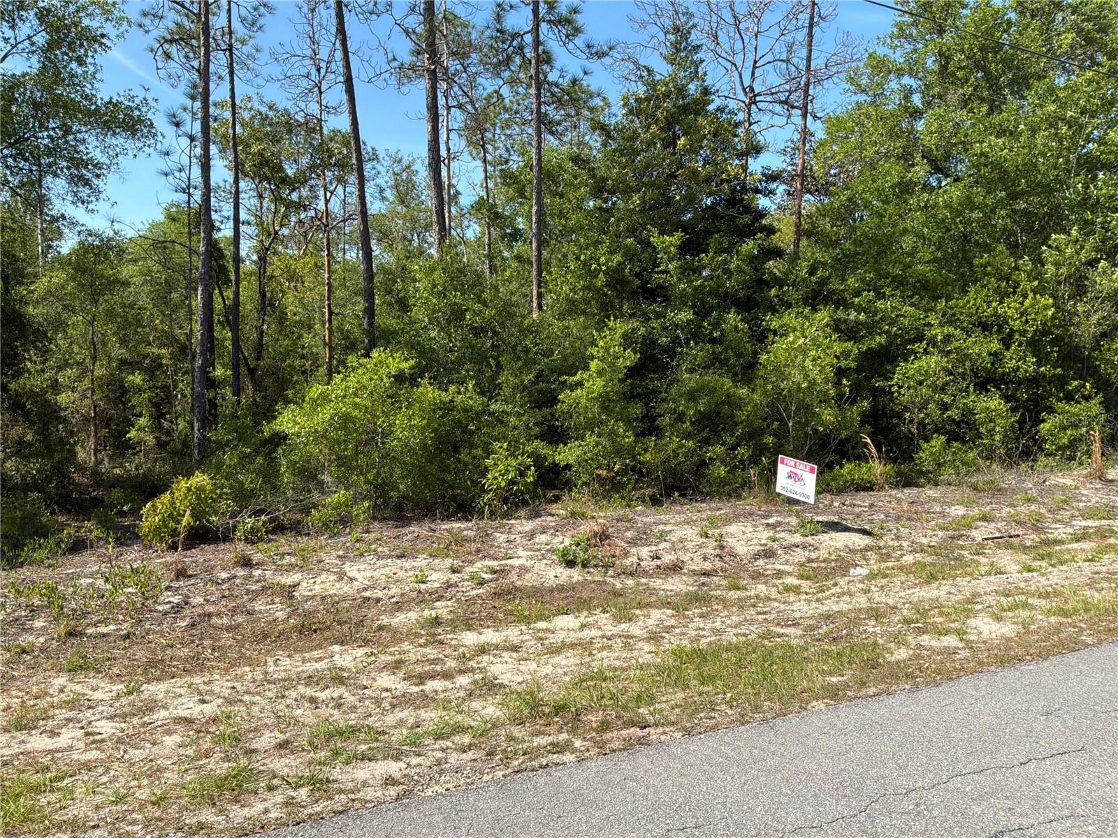 TBD SW ANCHOR BLVD #20, DUNNELLON, FL, 34431