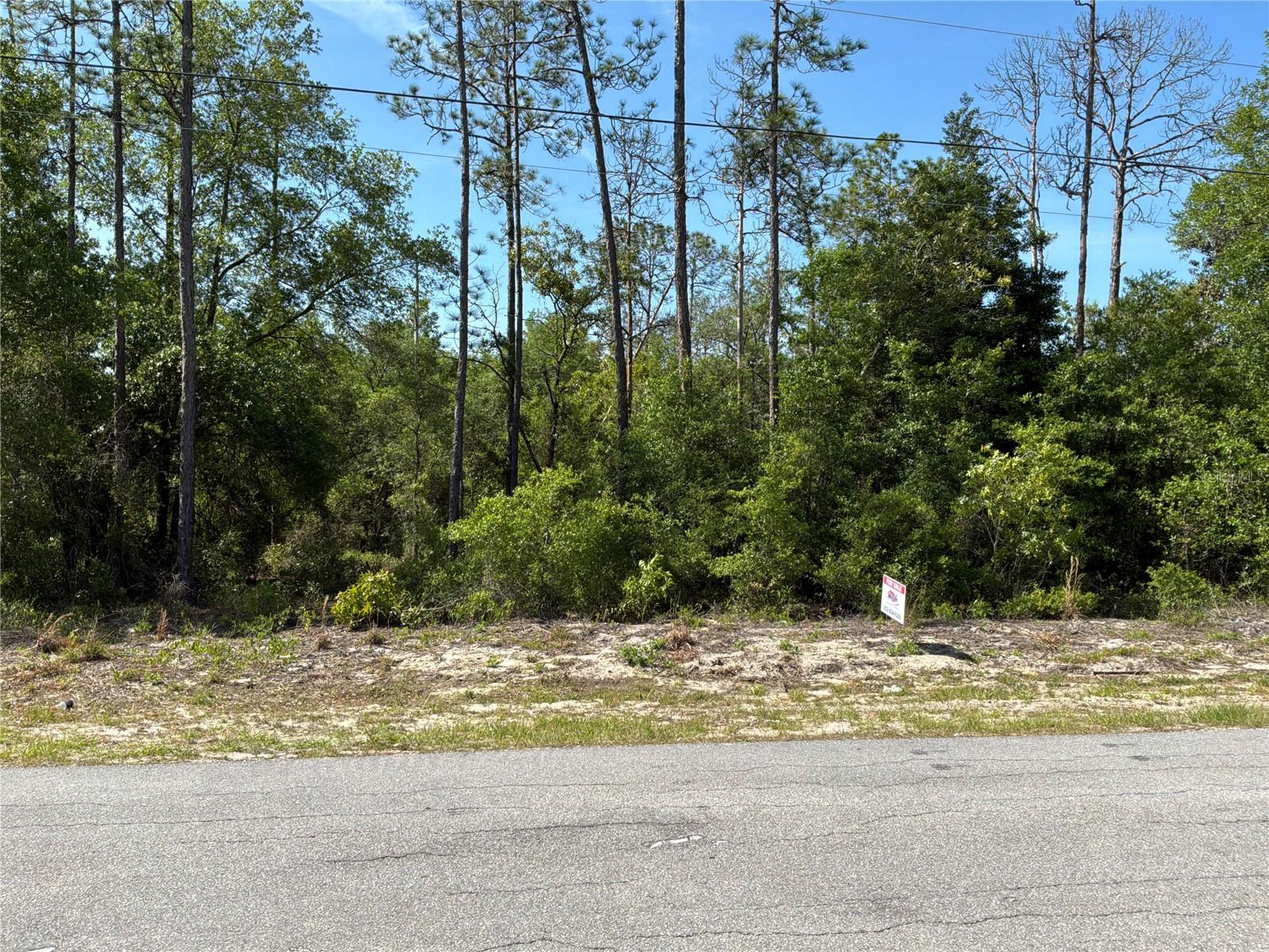 TBD SW ANCHOR BLVD #20, DUNNELLON, FL, 34431