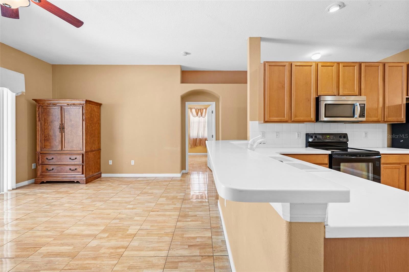 4211 BLAKEMORE PL, SPRING HILL, FL, 34609