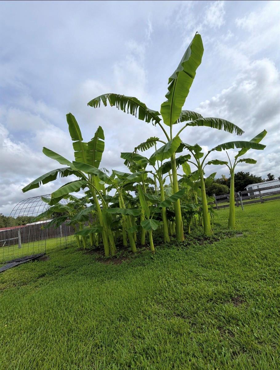 4245 HENRY J AVE, ST CLOUD, FL, 34769