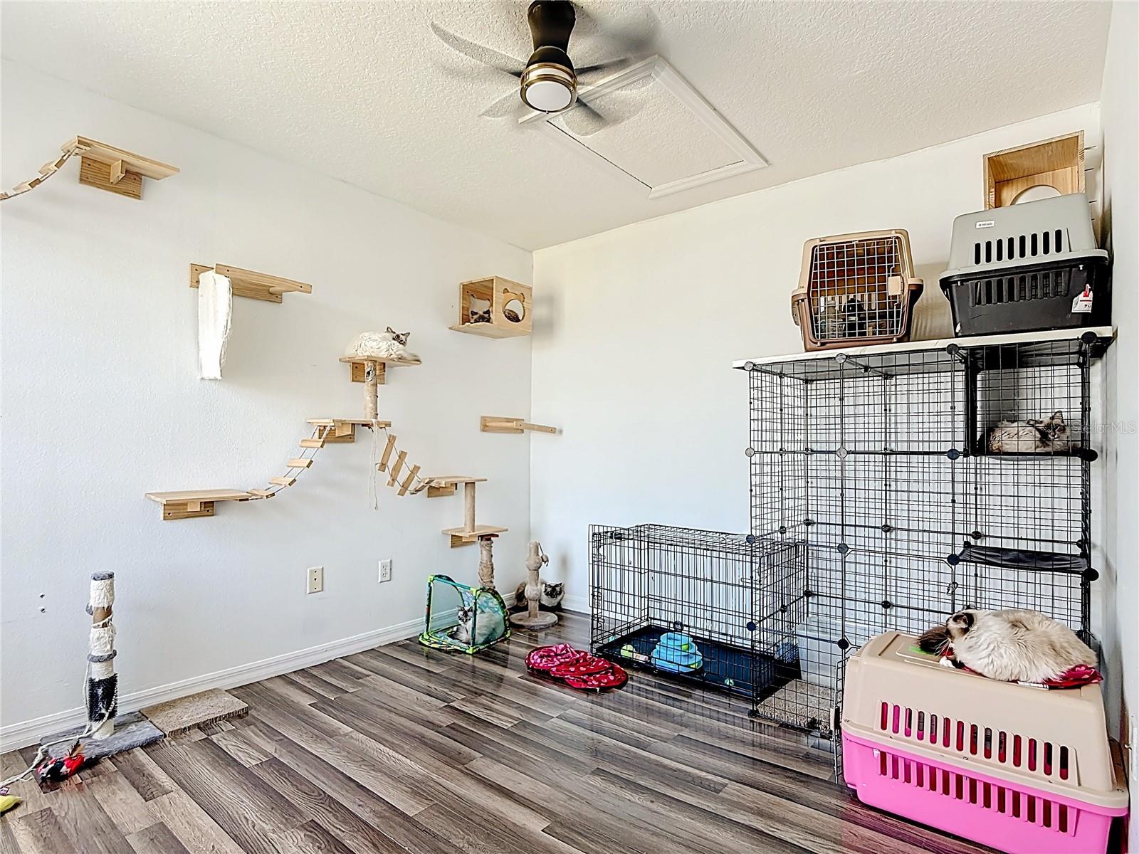 236 ORCHID DR, DAVENPORT, FL, 33897