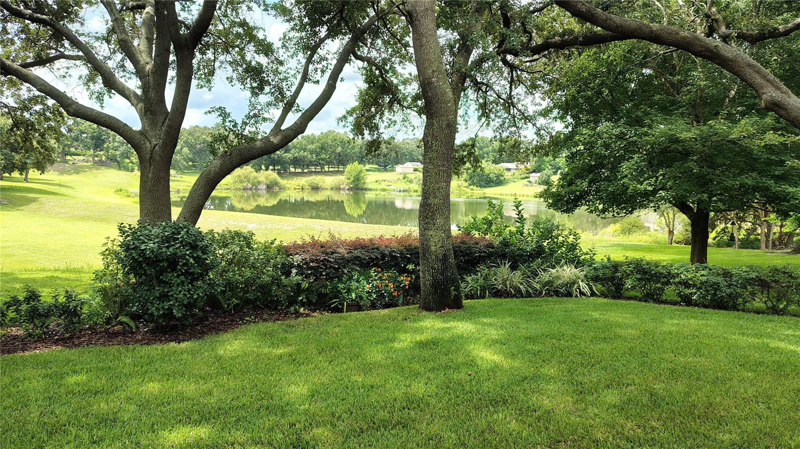 11106 OAKSHORE LN, CLERMONT, FL, 34711