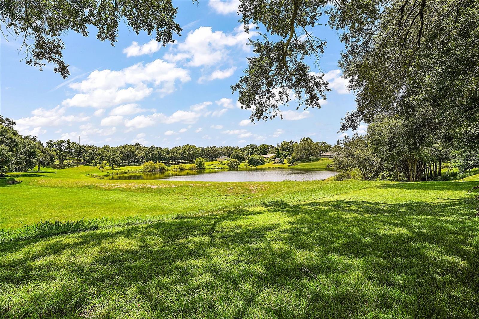 11106 OAKSHORE LN, CLERMONT, FL, 34711