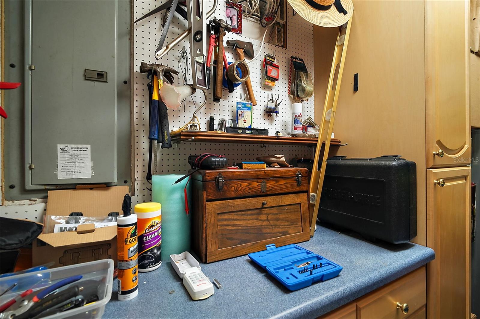 11106 OAKSHORE LN, CLERMONT, FL, 34711