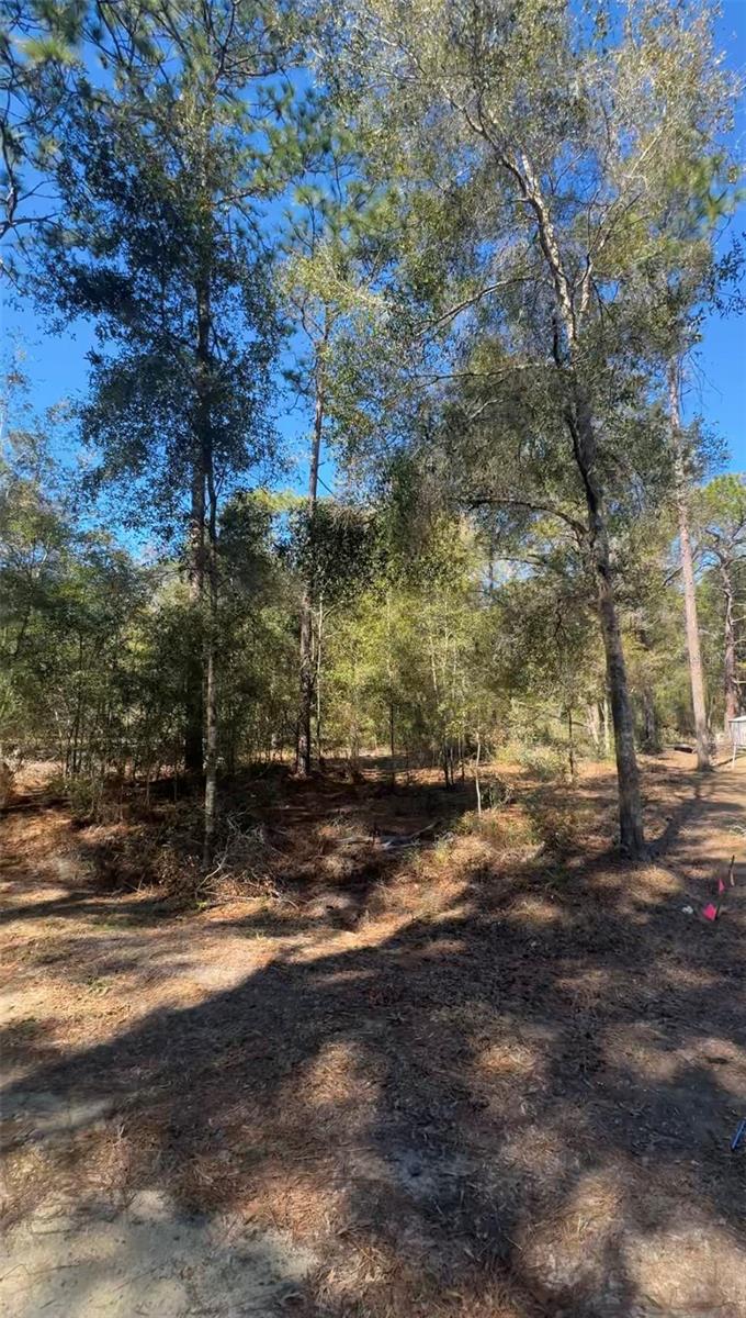 TBD SW 45TH CIR, OCALA, FL, 34474