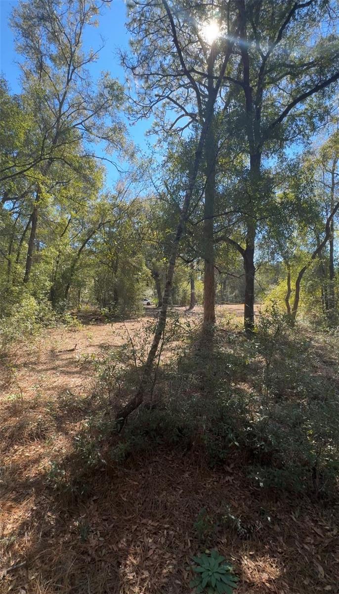 TBD SW 45TH CIR, OCALA, FL, 34474