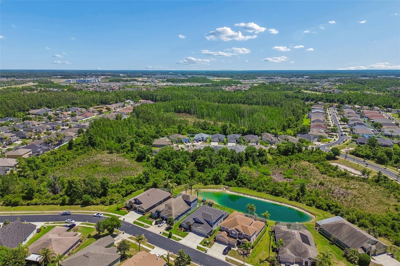 2336 NESSLEWOOD DR, WESLEY CHAPEL, FL, 33543