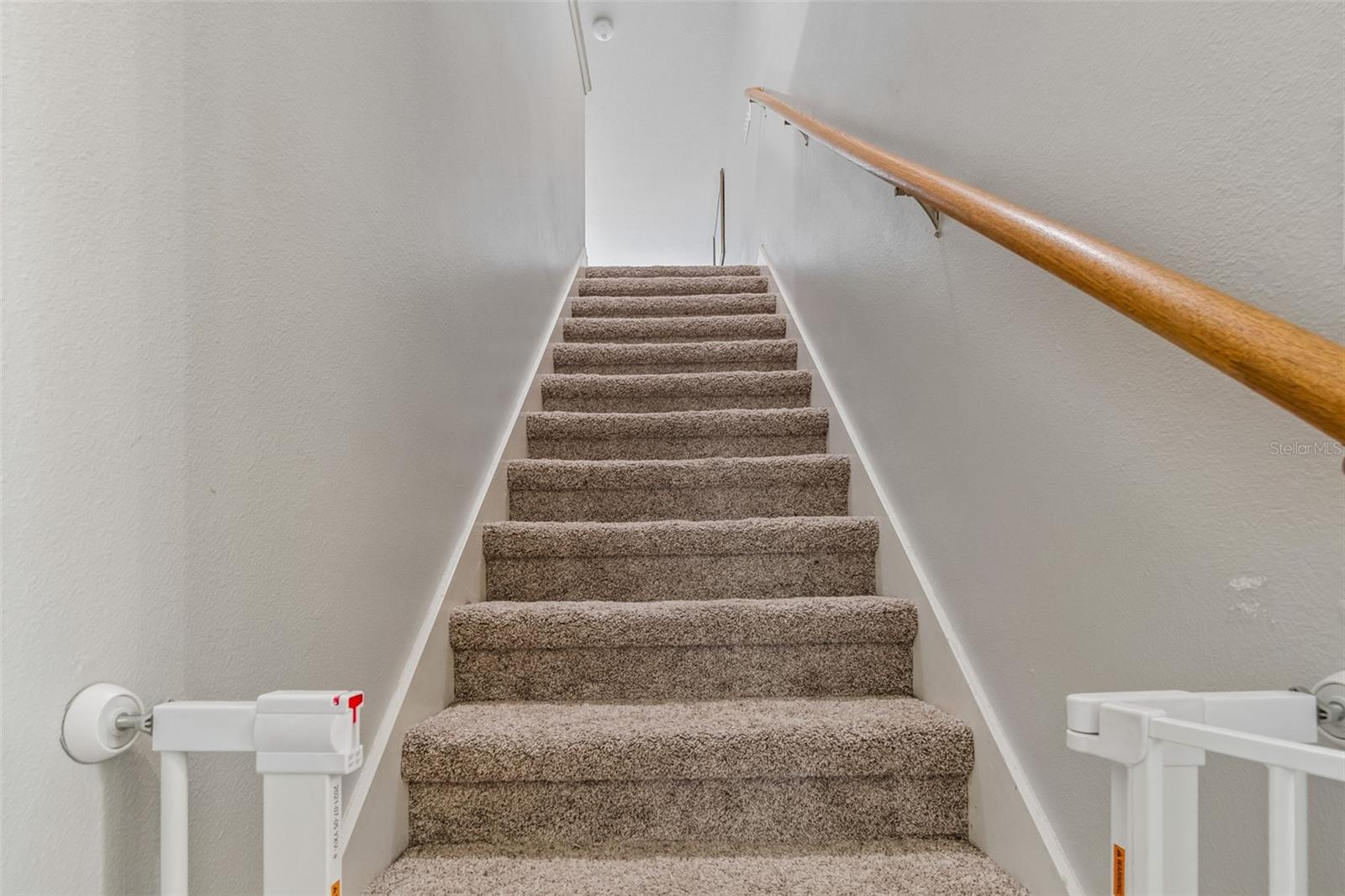 2336 NESSLEWOOD DR, WESLEY CHAPEL, FL, 33543