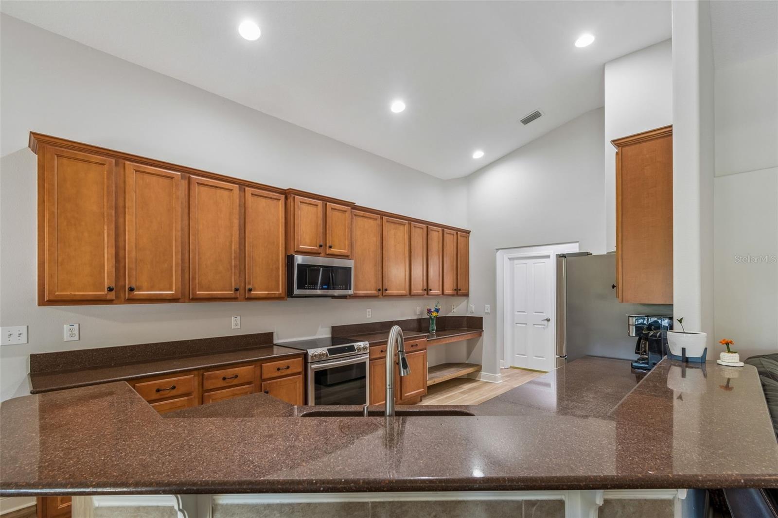 2336 NESSLEWOOD DR, WESLEY CHAPEL, FL, 33543